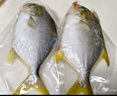 环球水产 冷冻南海二去金鲳鱼900g2条 去鳃去脏 深海鱼鱼类  海鲜家庭聚餐 实拍图