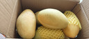 【双十一热卖】玉芒水果芒果新鲜上市 带箱5斤 中大果【单果200-300g】 实拍图