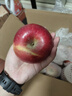 京鲜生 塞外红阿克苏苹果礼盒 净重10斤 果径80-85mm  实拍图
