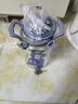玻绅士泡酒容器泡酒专用瓶泡酒玻璃瓶高硼硅泡酒瓶玻璃酒坛大容量泡酒瓶 VIP储酿指导服务（咨询客服） 实拍图