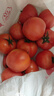京鲜生 山东海阳普罗旺斯净重4.5斤单果150g起新鲜沙瓤西红柿源头直发 实拍图