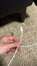 【95成新】Apple/苹果  60W USB-C 充电线 (1 米) iPhone 15 系列 iPad 快速充电 数据线 实拍图