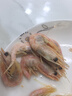 鲜京采 精选北极甜虾 净重3斤/盒 135-180只 解冻即食  实拍图