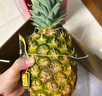 佳农 黑钻菠萝1粒装 菲律宾凤梨 净重2斤起 生鲜水果 源头直发 包邮 实拍图