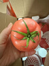 陇原红 陕西泾阳普罗旺斯西红柿 现摘生吃沙瓤新鲜蔬菜番茄 健康轻食 普罗旺斯 8.5斤 特大果顺丰到家 实拍图
