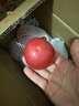 新鲜沙瓤西红柿自然成熟现摘现发番茄下蔬菜生鲜减肥单果80g+ 新鲜西红柿 5斤 带箱 实拍图