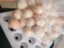 1号会员店 可生食标准鲜鸡蛋30枚 净重3斤 1号会员店自有品牌  源头直发 实拍图