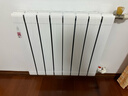 金旗舰暖气片家用铜铝复合水暖壁挂式全屋暖气定制自采暖集中供暖散热器 (严寒地区)铜铝8095-600mm 6分口 实拍图