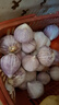 云南紫皮独头蒜干蒜果经3.0mm+ 大果直径3.0左右（14头） 实拍图