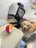 嬉皮狗狗狗玩具电动跳跳球宠物自嗨解闷神器发声幼犬磨牙耐咬 实拍图