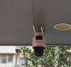 海康威视（HIKVISION）4G双摄像头800万终身免流量家用监控360度无死角带夜视全景 内置无限流量 室外户外防尘防水Q2S8DM 实拍图