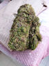 干水苔蝴蝶兰君子兰花多肉石斛营养泥土苔藓盆栽保湿乌龟冬眠垫材润景 精选干苔藓(100克) 实拍图