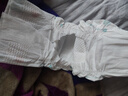 帮宝适超薄透气清新帮透氧Pro婴儿纸尿裤尿不湿尿片尿布L46 实拍图