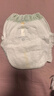 babycare金山茶花拉拉裤XL34片(12-17kg)婴儿尿不湿超薄透气新生柔花苞裤 实拍图