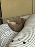 乐瓜睡觉抱枕床上等身长条抱枕宠物猫陪睡玩偶侧睡夹腿枕成人生日礼物 实拍图