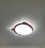 雷士（NVC）LED护眼卧室吸顶灯三色调光灯具灯饰卡通龙猫造型儿童房 48W 【全光谱】龙猫粉 RA98 智控IP40 实拍图
