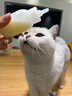 宠莱克(MEOWANLIKE)幼猫用羊奶粉 怀孕母咪宠物乳铁蛋白0-3月低脂山羊奶 实拍图