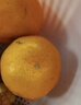 京地达浙江临海涌泉蜜桔新鲜水果橘子桔子重9.2斤单果65mm源头直发包邮 实拍图