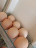 京鲜生【每日鲜蛋】无抗谷物鸡蛋30枚 3.18斤 当日产蛋 当日发货 实拍图
