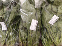 大菠菜300g 实拍图
