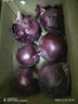 京鲜生 甘肃紫皮洋葱带皮 净重5斤 单果300g+ 新鲜蔬菜源头直发 实拍图