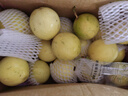 京鲜生 钦蜜9号黄金百香果净重5斤单果45g+/40-60个 生鲜水果 源头直发 实拍图