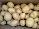 京喜加新鲜黄心土豆农家自种黄皮马铃薯黄心洋芋新鲜蔬菜 9斤 实拍图