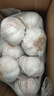 大蒜头出口品质网兜紫蒜蔬菜调料新鲜大果烧烤火锅食材 【精品网兜装】1斤装 450g 实拍图