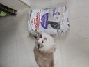 皇家绝育成猫粮 SA37通用粮 1-7岁10KG 实拍图