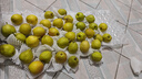 京鲜生 新疆库尔勒香梨 净重8斤 单果100-120g 生鲜水果 礼盒装 实拍图