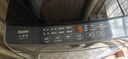 海尔（Haier）波轮洗衣机小型全自动8KG家用XQB80-Z10D0京东自营家电国家补贴以旧换新一级能效宿舍出租房单脱水 实拍图