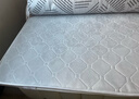 锦汐 椰棕床垫可折叠榻榻米床垫席梦思棕榈床垫棕垫硬薄宿舍家用垫子 3E椰棕总厚约5cm-白色-折叠款 1.5米*2米 实拍图