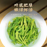 一杯香茶叶绿茶明前嫩芽毛尖茶250g2025新茶礼盒装送礼自己喝袋装自饮 实拍图