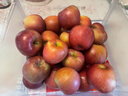 京鲜生 云南昭通丑苹果 净重9斤装 单果130g起  新鲜水果 实拍图