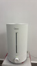 美的（Midea）空气加湿器家用卧室母婴幼儿鼻炎静音抗菌超大雾量取暖补水小型工业喷雾雾化器礼物国家补贴3VWL 实拍图