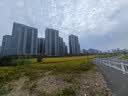硕图直播补光灯灯棒LED手持补光棒灯支架RGB全彩灯摄影手机拍照视频便携直播户外柔光外景夜景拍摄 实拍图