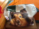 网易严选犬粮全价冻干三拼鸡肉狗粮幼犬成犬小型中大型犬10kg【宠物金选】 实拍图