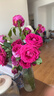 【玫瑰花】云南鲜花批发真花家用插瓶水养节日生日礼物鲜切花束 随机玫瑰18+2枝防损耗 实拍图