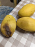 【双十一热卖】玉芒水果芒果新鲜上市 带箱2斤200g+ 实拍图