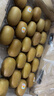 佳沛（zespri）新西兰  阳光金奇异果25-27粒原箱特大果单果约122-146g  猕猴桃 实拍图