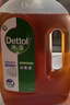 滴露（Dettol）洗衣消毒液衣物消毒水750mL除螨 家居地板杀菌 非84甲流感 实拍图