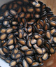 正林3A黑瓜子1200g/桶五香味大颗粒西瓜子礼桶坚果零食（内赠剥壳器） 实拍图