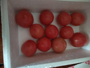 京鲜生沙瓤粉西红柿 净重3斤 单果100g+果菜两吃 源头直发 【搜生鲜馆】 实拍图