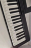 特伦斯电子琴88键成人儿童智能折叠钢琴X61A/V20手卷钢琴键盘乐器 V20典雅黑+专用琴包+Z型琴架 实拍图