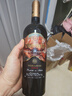 CANIS FAMILIARIS布多格意大利原瓶进口红酒 奥巴萨半干红葡萄酒 750ml 婚宴单瓶装 实拍图