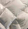 无印良品100%白鹅羽毛被子 羽毛绒丝冬被 秋冬被芯约5.9斤200*230cm白色 实拍图