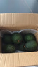 正宗进口秘鲁哈斯牛油果孕妇水果宝宝辅食进口鳄梨整箱批发价 6个装 单果重190-210克 实拍图