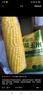 十月稻田 黄糯玉米 3.52斤(220g*8根) 25年新玉米 低脂粗粮 早餐 联名款 实拍图