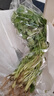 带根香菜100g 实拍图