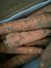 京喜加新鲜现挖现发胡萝卜农家自种蔬菜水果沙地红萝卜 带泥胡萝卜9斤 含箱 实拍图